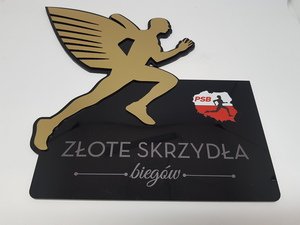 PSB zote skrzyda